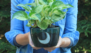 Seconds Sale! Moonlit Dark Nights Planter