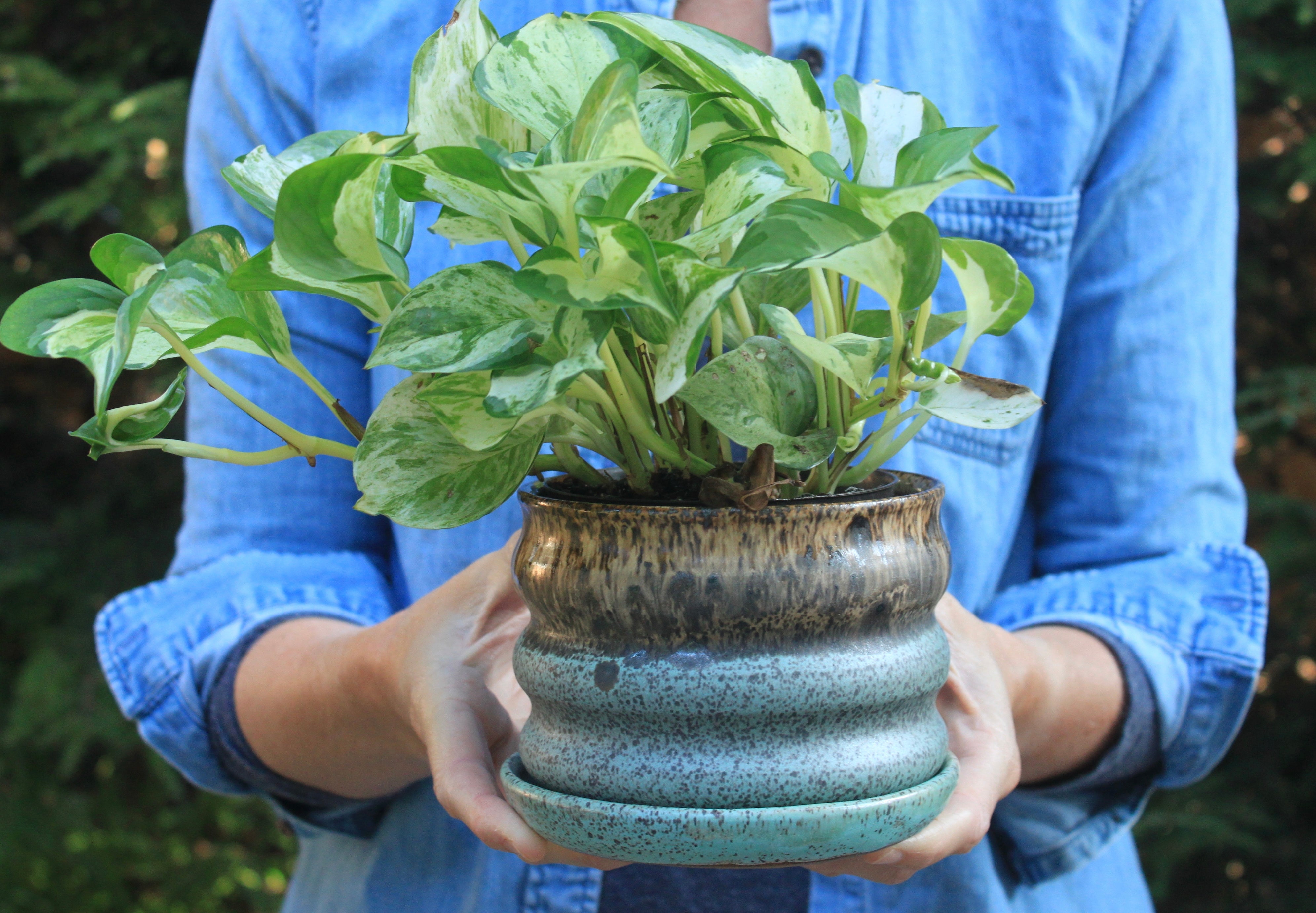 Wavy Seas Wiggle Planter