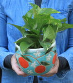 Load image into Gallery viewer, Seconds Sale! Orange Crush Planter
