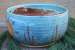 Load image into Gallery viewer, Seconds Sale! Desert Days Large Serving Bowl
