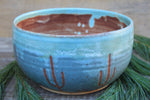 Load image into Gallery viewer, Seconds Sale! Desert Days Large Serving Bowl
