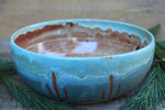 Load image into Gallery viewer, Desert Days Low Serving Bowl
