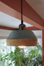 Load image into Gallery viewer, Pendant Light, Honey Horizons
