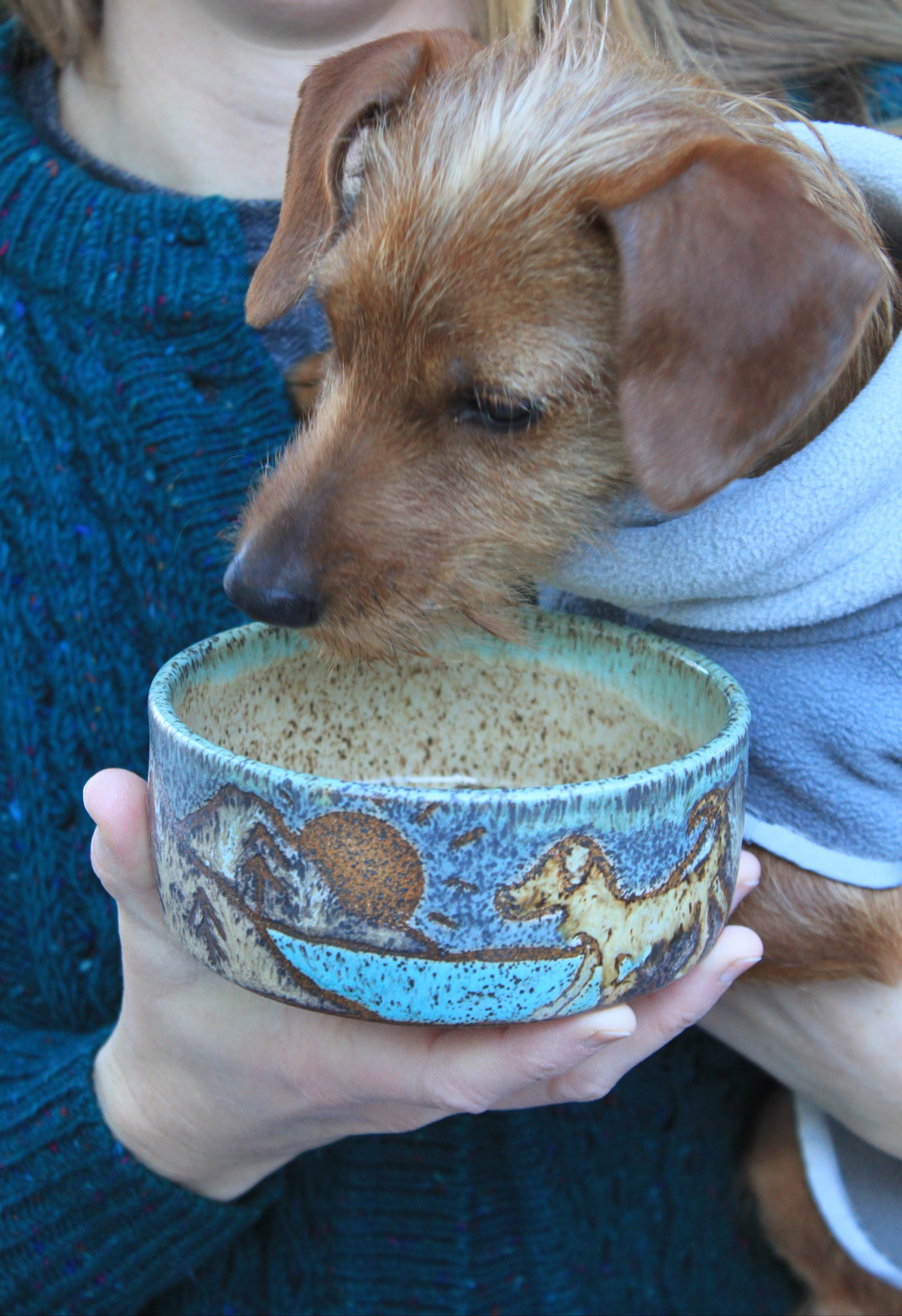 Glacial Lakes Mountain Adventure Dog Bowl