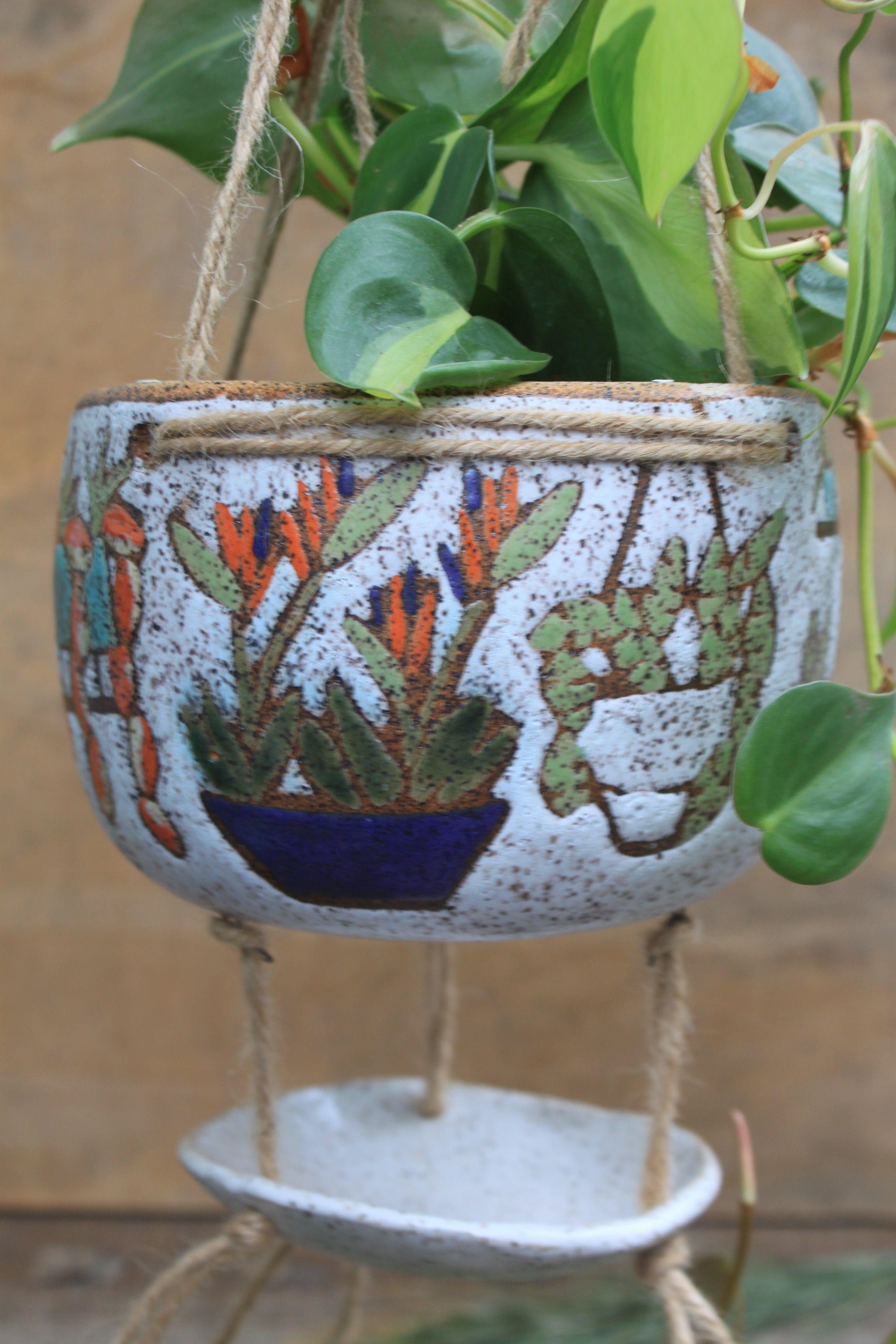 Tropical Houseplant Party Hanging Planter with Drip Dish