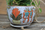 Load image into Gallery viewer, Tropical Houseplant Party Hanging Planter with Drip Dish
