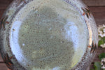 Load image into Gallery viewer, Seconds Sale! Evergreen Rolling River Low Serving Bowl
