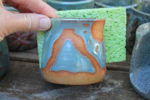 Sponge Holder - Assorted Designs