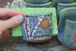 Load image into Gallery viewer, Sponge Holder - Assorted Designs
