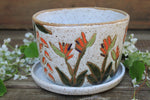 Load image into Gallery viewer, Seconds Sale! Tropical Bird of Paradise Planter
