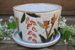 Load image into Gallery viewer, Seconds Sale! Tropical Bird of Paradise Planter
