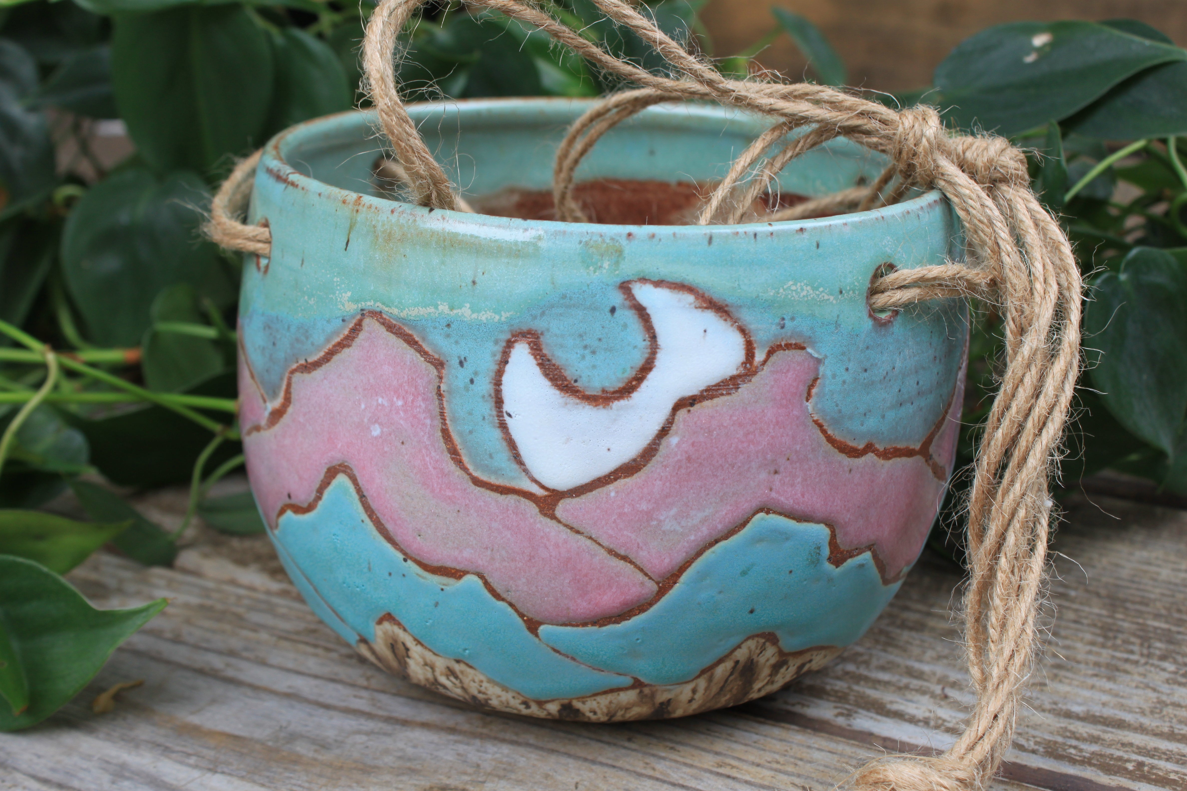 Distant High Peaks Hanging Planter