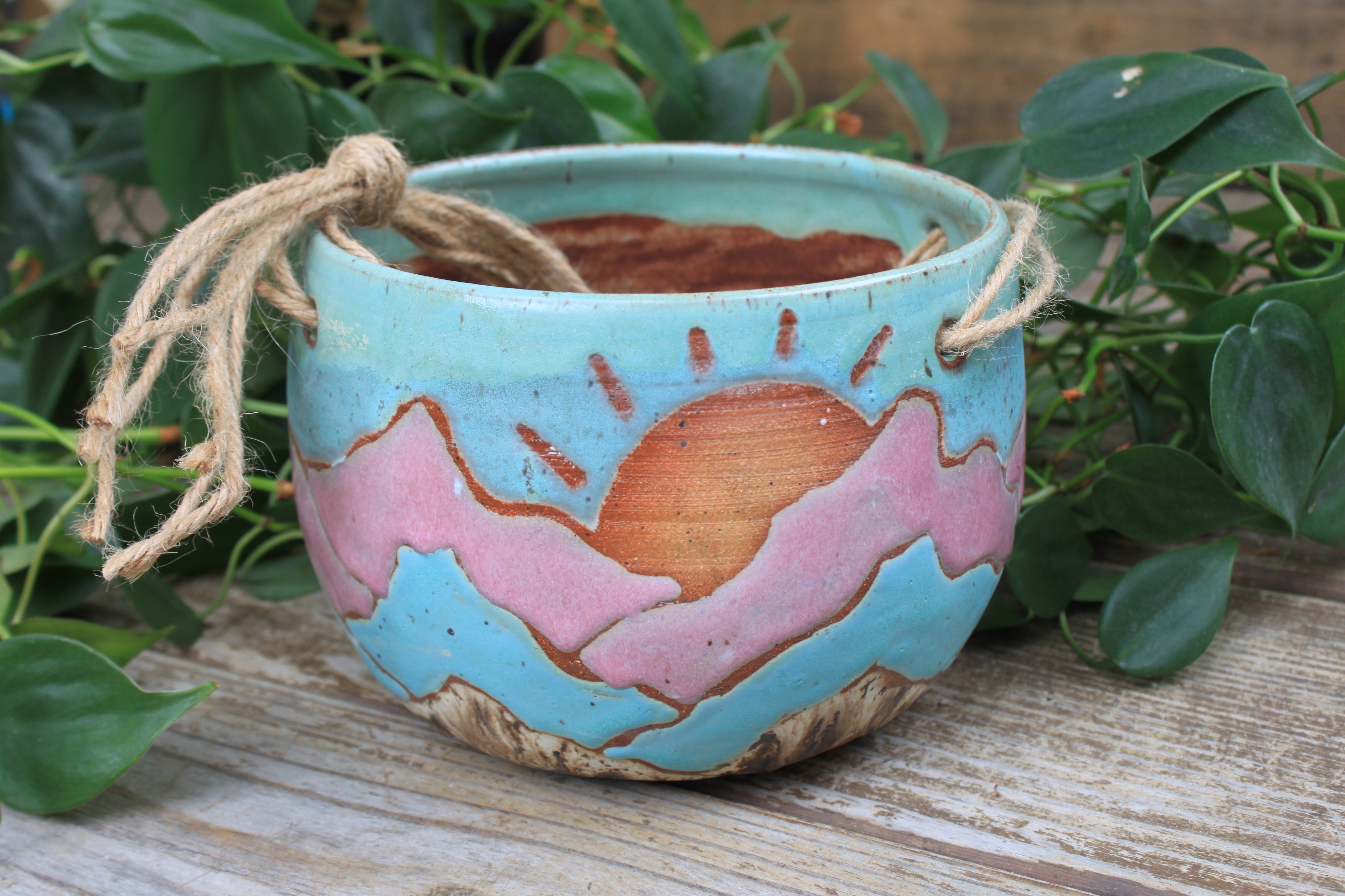 Distant High Peaks Hanging Planter