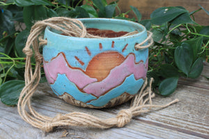 Distant High Peaks Hanging Planter