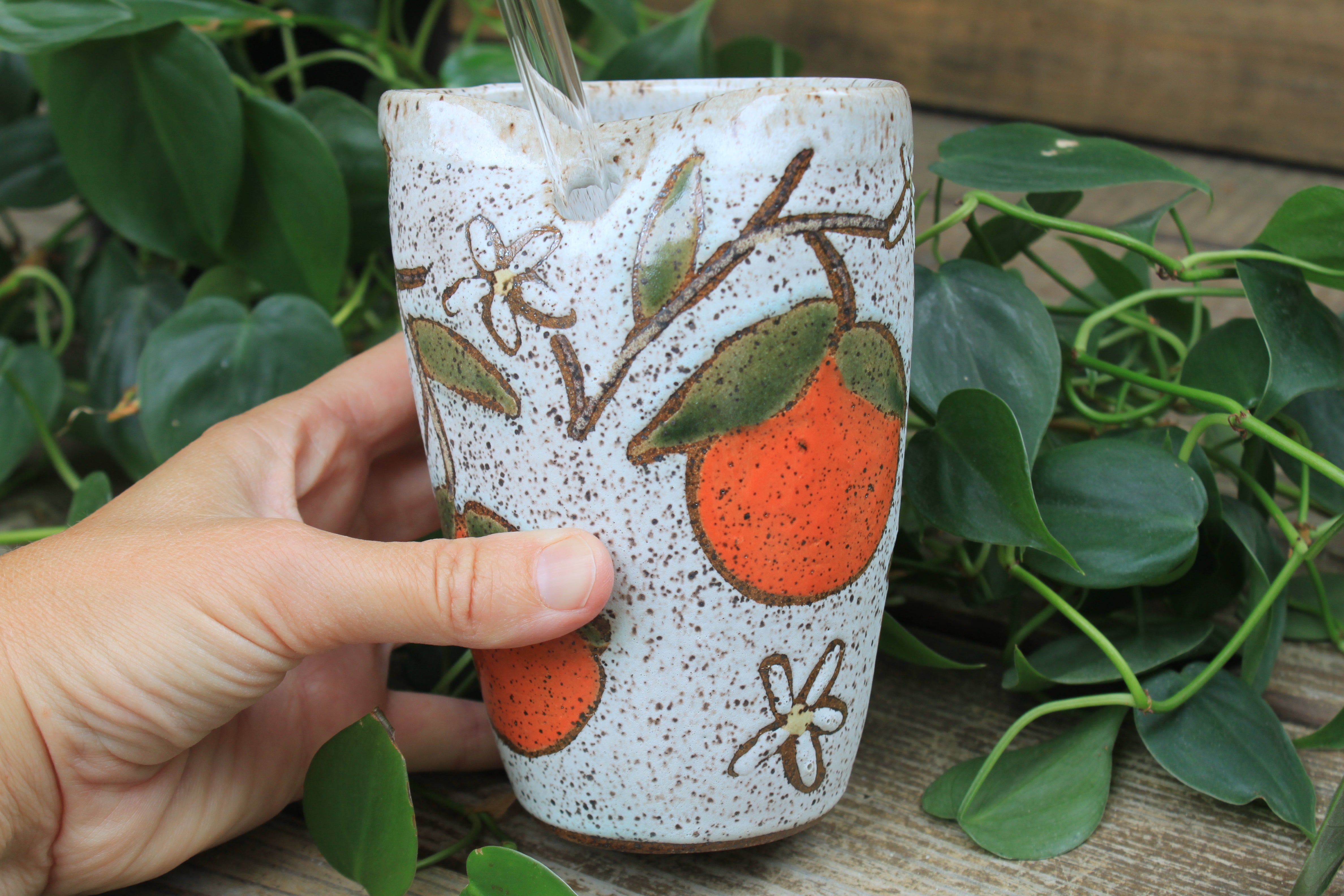 Fruity Fun - Oranges Dreams Straw Cup, 17 oz