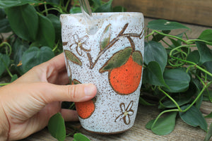 Fruity Fun - Oranges Dreams Straw Cup, 17 oz
