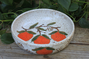 Fruity Fun - Orange Dreams Plate Bowl