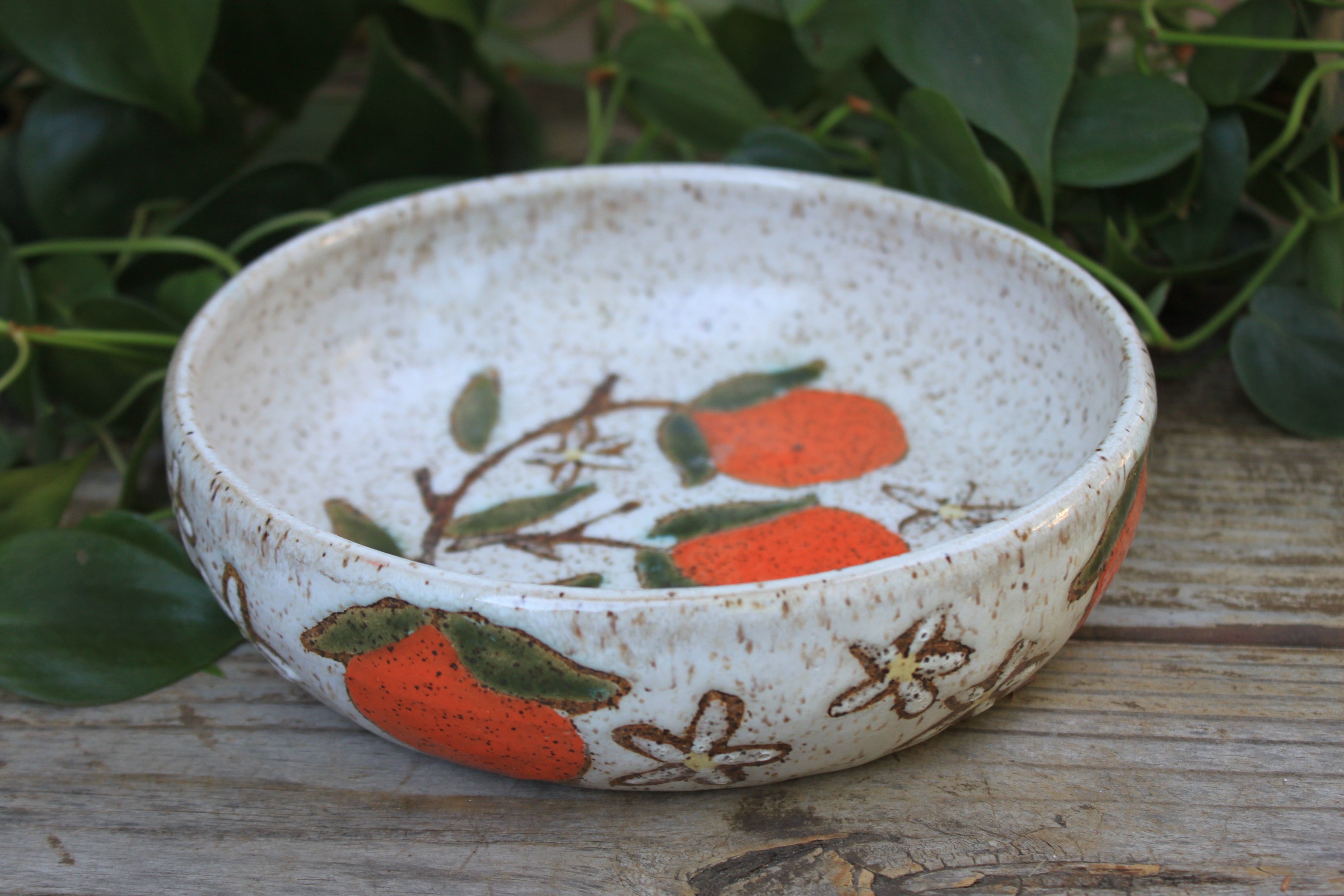 Fruity Fun - Orange Dreams Plate Bowl