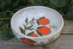 Load image into Gallery viewer, Fruity Fun - Orange Dreams Plate Bowl
