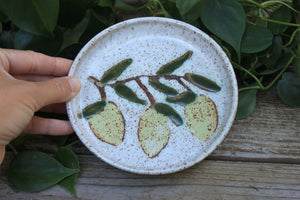 Fruity Fun - Lemon Lovers Trinket Dish