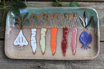 Load image into Gallery viewer, Root for Vegetables Rainbow Tray
