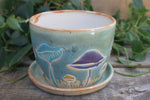 Load image into Gallery viewer, Mushroom Madness Planter
