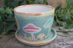 Load image into Gallery viewer, Mushroom Madness Planter
