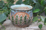 Load image into Gallery viewer, Evergreen Adventures Mug, 16 oz
