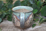Load image into Gallery viewer, Evergreen Adventures Mug, 16 oz
