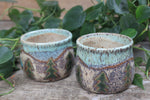 Load image into Gallery viewer, Evergreens and Rolling River Espresso Cups/Mini Bowls - sold separately, 9 oz
