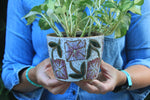 Load image into Gallery viewer, Cosmos Planter

