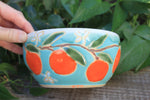 Load image into Gallery viewer, Fruity Fun - Orange Crush Bowl

