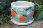 Load image into Gallery viewer, Seconds Sale! Orange Crush Planter
