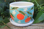 Load image into Gallery viewer, Seconds Sale! Orange Crush Planter
