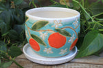 Load image into Gallery viewer, Seconds Sale! Orange Crush Planter
