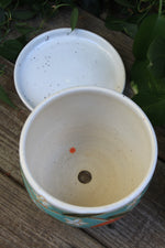 Load image into Gallery viewer, Seconds Sale! Orange Crush Planter
