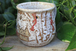 Load image into Gallery viewer, Snowy Cabin with Cardinals in a Birch Forest Mug, 18 oz
