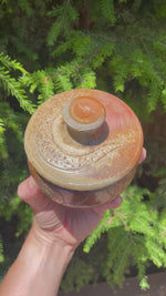 Load and play video in Gallery viewer, Wood Fired Octopus Adventures Carved Lidded Jar
